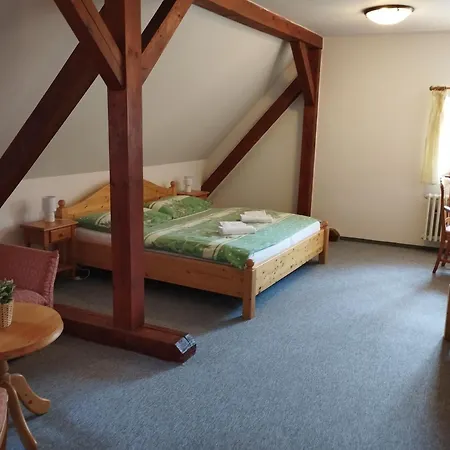 Hotel Ruze 3*