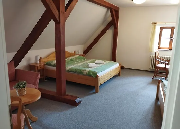 Hotel Růže 3*