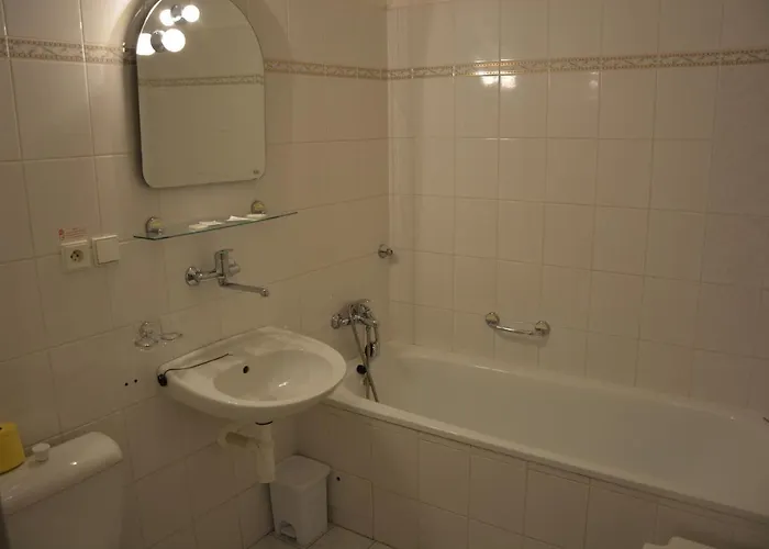 Hotel Ruze 3*
