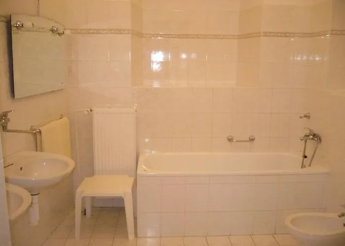 Růže